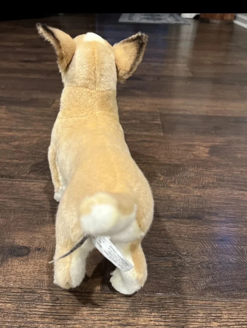 Hansa Plush Chihuaha Realistic Life Like 2015 Pet Replacement